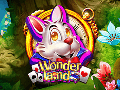 Wonderland game cover