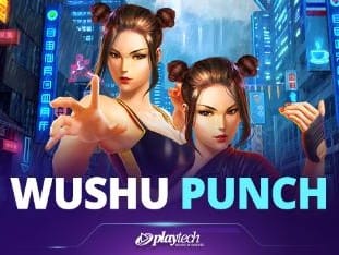 Wushu Punch™ game cover